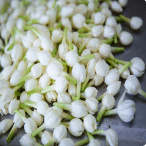 Jasmine Loose Flowers