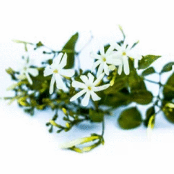 Mullai Loose Flowers - Image 4