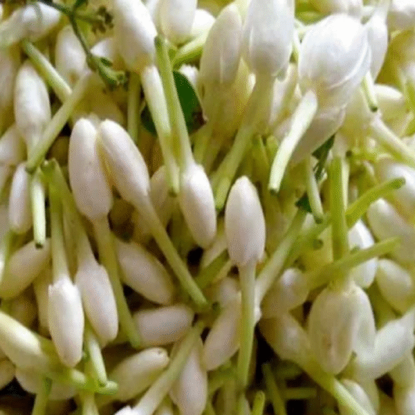 Mullai Loose Flowers - Image 3