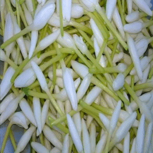 Mullai Loose Flowers