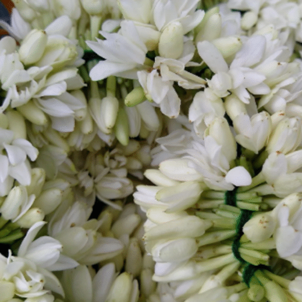 Mullai Flower Strings - Image 2