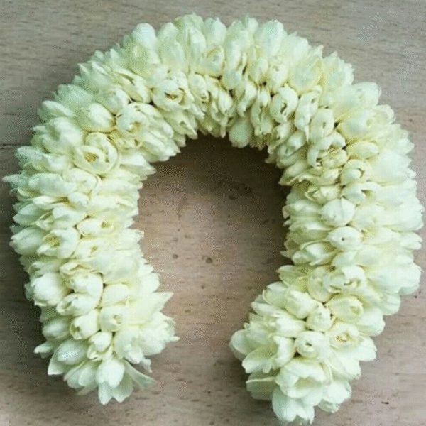 Mullai Flower Strings - Image 5