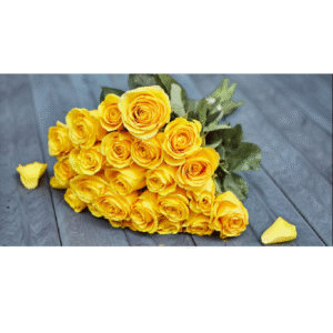 Yellow Rose