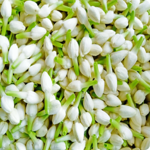 Jasmine Loose Flowers - Image 2