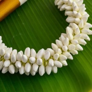 Jasmine Flower String