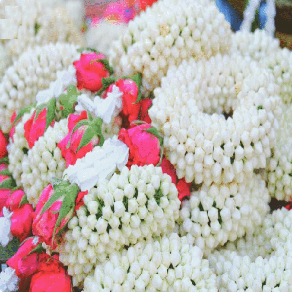 Jasmine Flower String - Image 2