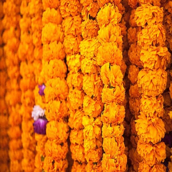Garlands - Image 4