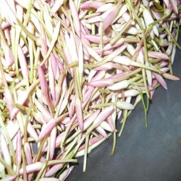 Pink Jasmine Flower String - Image 3