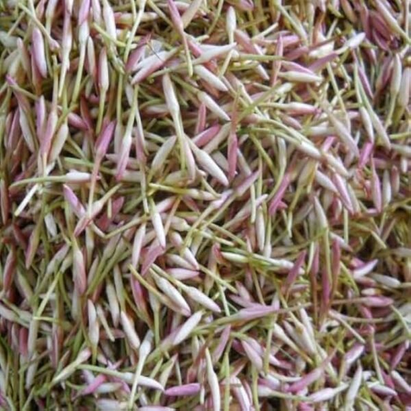 Pink Jasmine Flower String - Image 5