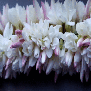 Pink Jasmine Flower String