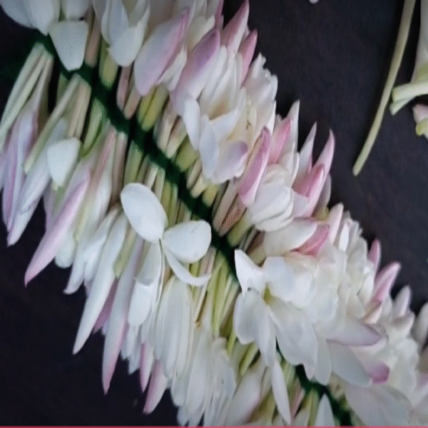 Pink Jasmine Flower String - Image 2
