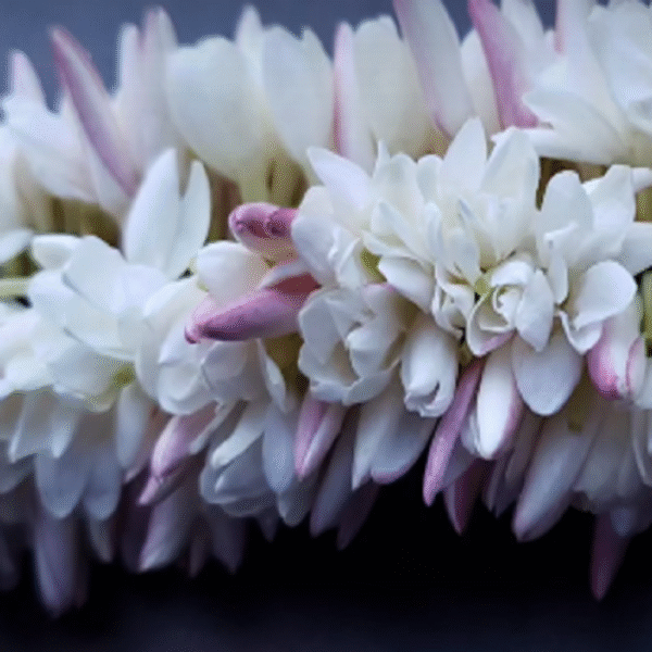 Pink Jasmine Flower String - Image 4